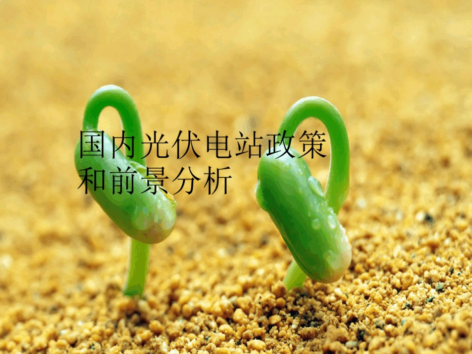 国内光伏电站政策和前景分析PPT_第1页