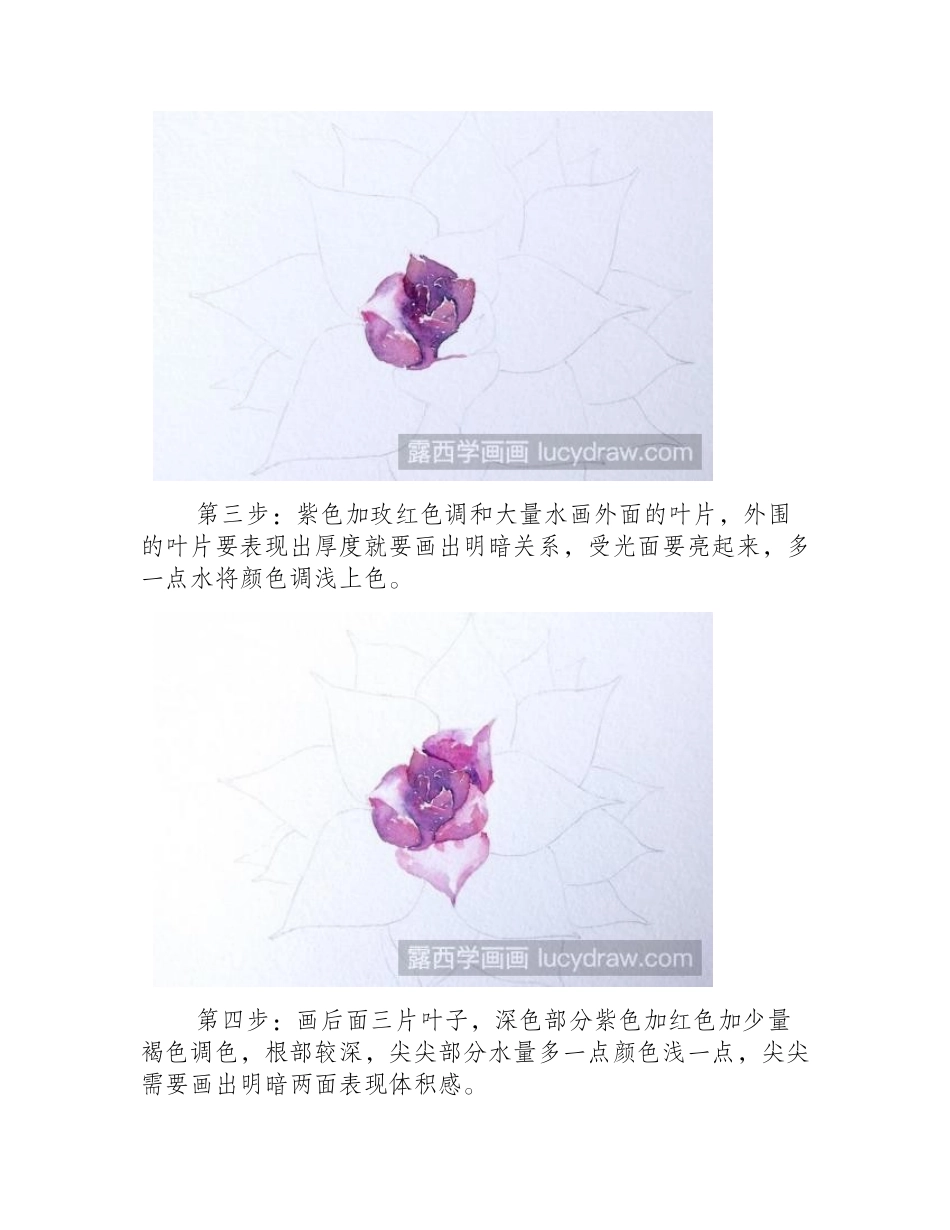 红色多肉的彩铅画教程彩铅画教程_第2页