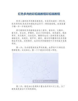 红色多肉的彩铅画教程彩铅画教程