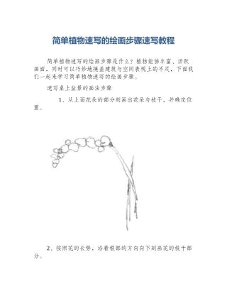 简单植物速写的绘画步骤速写教程