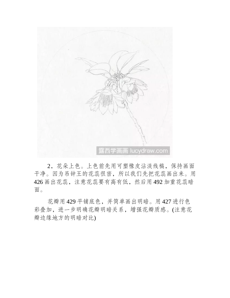 教你用彩铅画吊钟王彩铅画教程_第2页