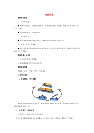 河北省秦皇岛市抚宁县驻操营学区八年级物理下册 电压教案 新人教版
