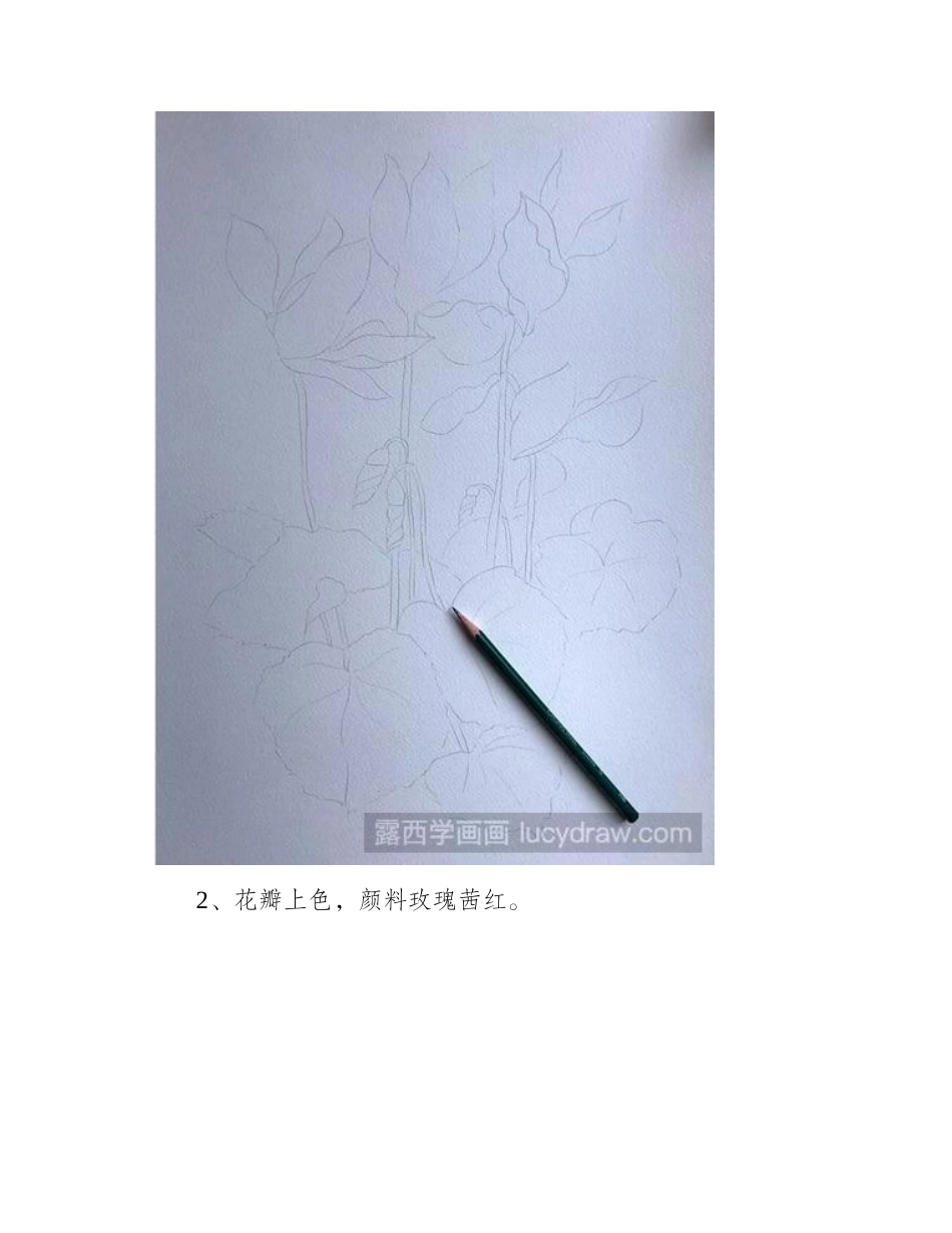 教你画仙客来水彩画教程_第2页