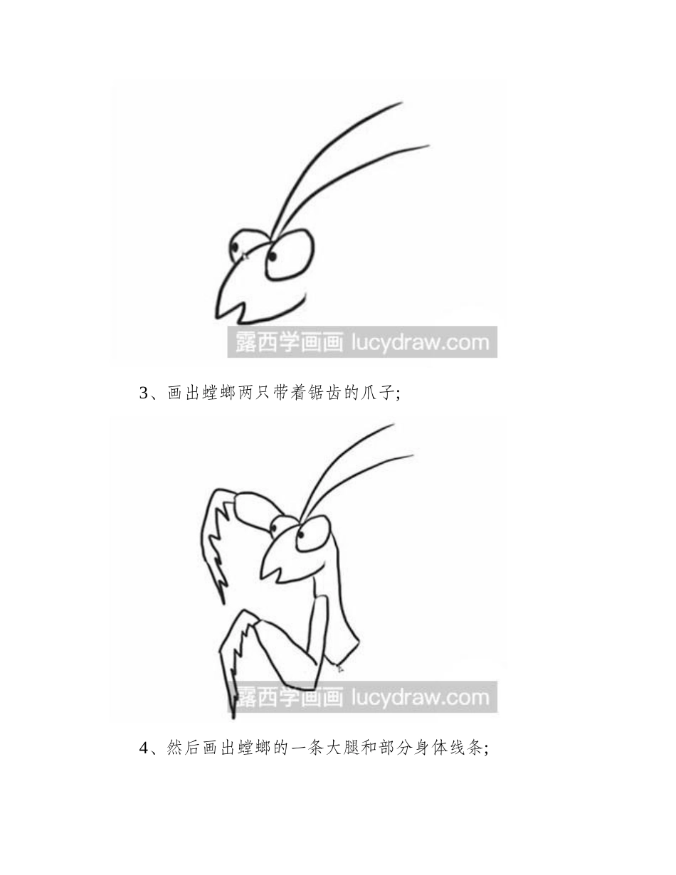 简笔画教程怎么画螳螂简笔画教程_第2页