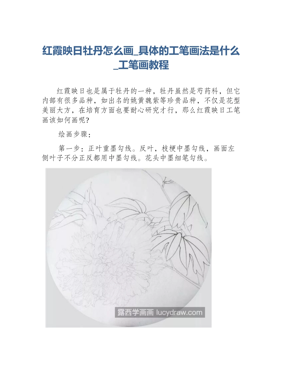 红霞映日牡丹怎么画_具体的工笔画法是什么_工笔画教程_第1页
