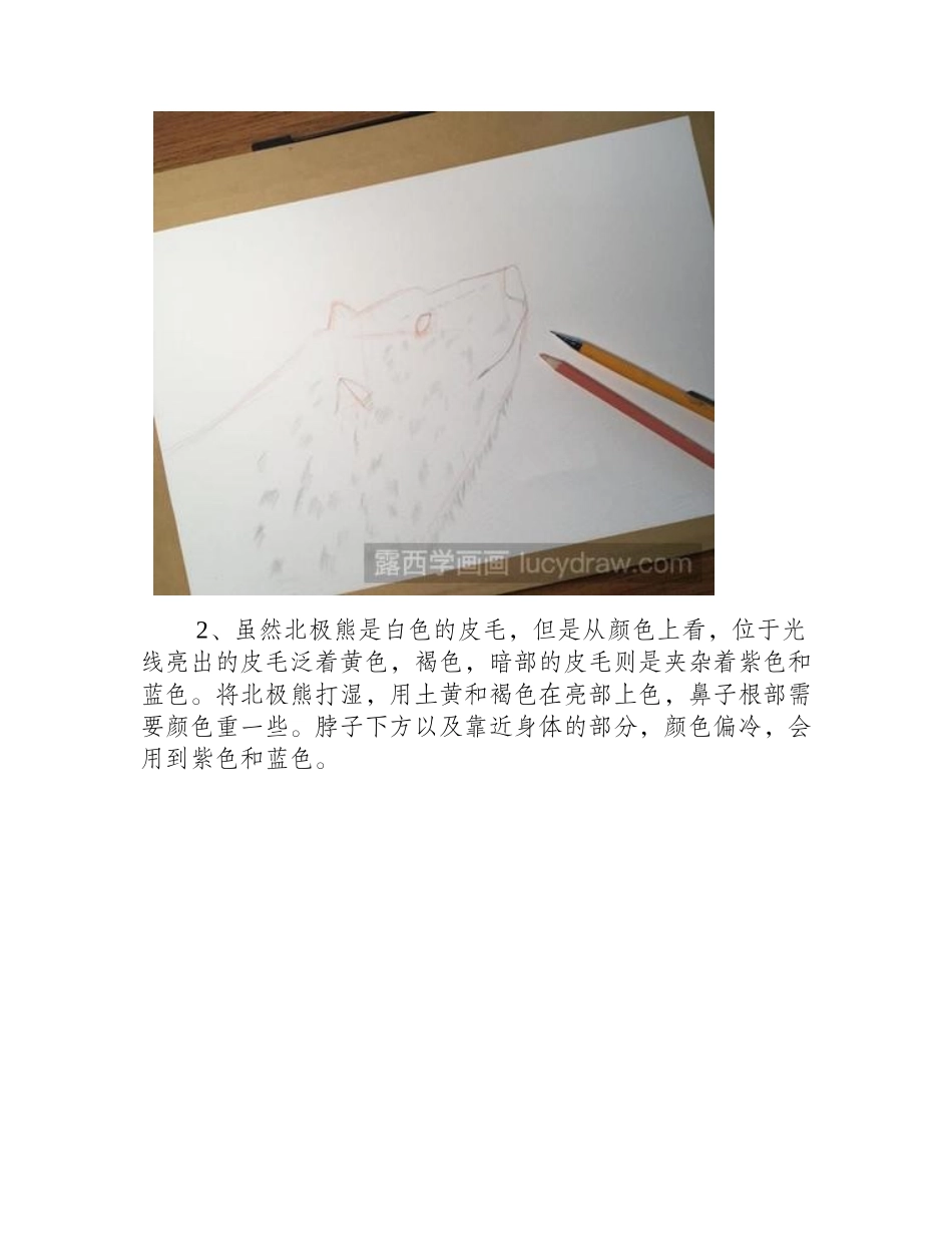 教你画星空下的北极熊水彩画教程1_第2页