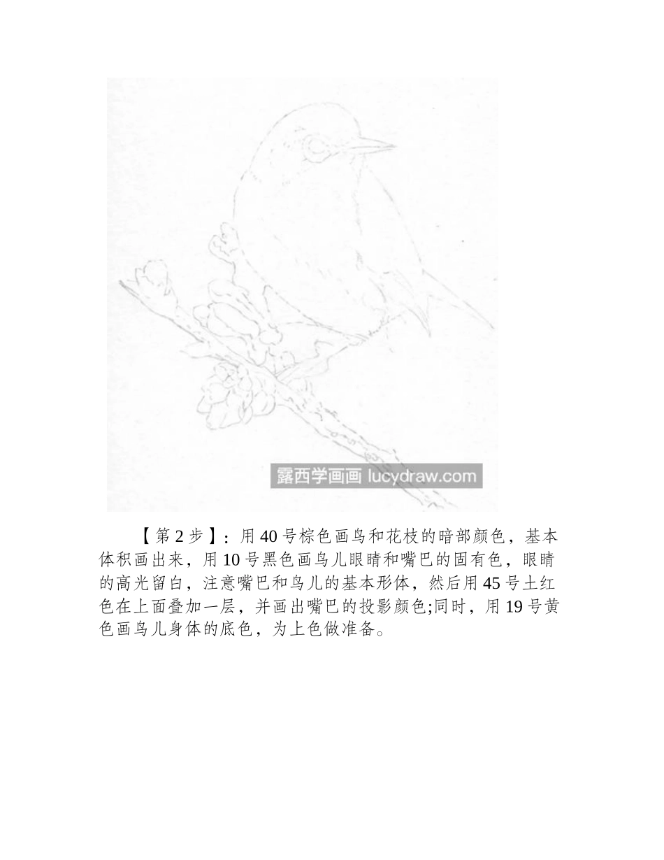 花枝上的鸟儿怎么画_一学就会的花鸟教程分享彩铅画教程_第2页