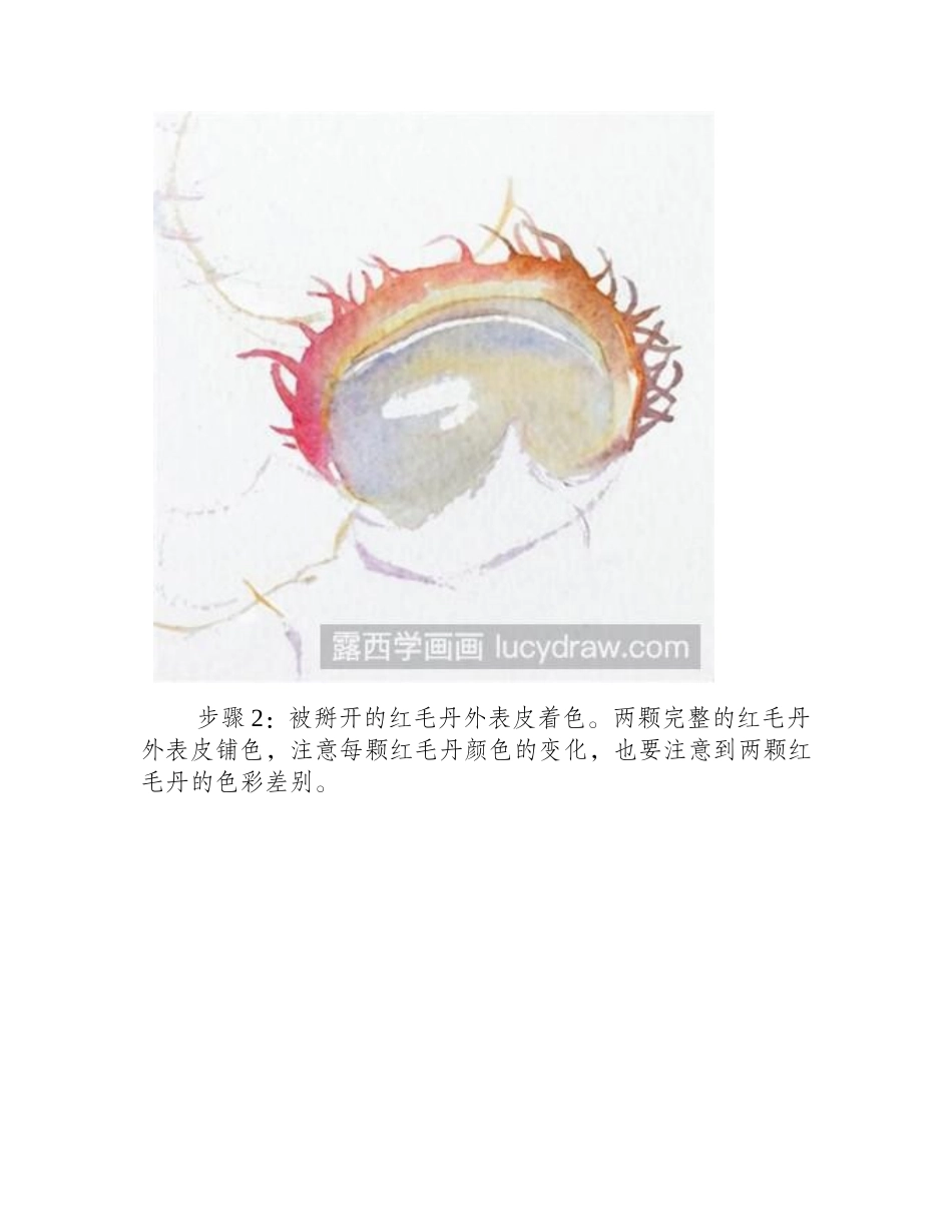 红毛丹水彩画教程水彩画教程_第2页