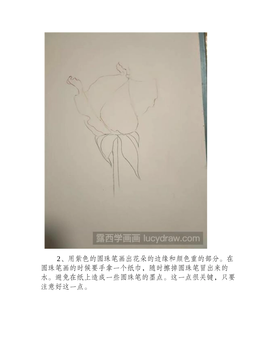 教你用圆珠笔画月季钢笔画教程_第2页