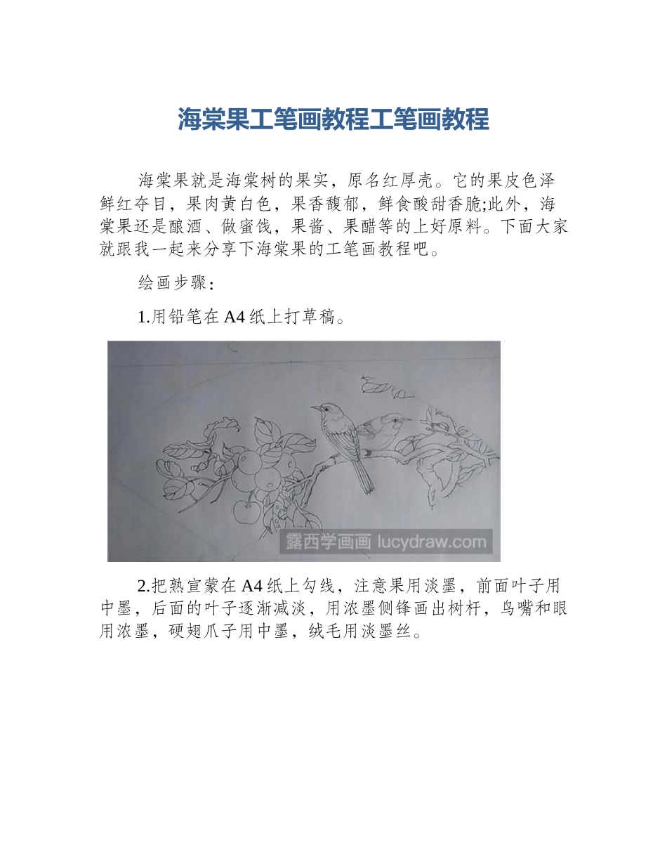 海棠果工笔画教程工笔画教程_第1页