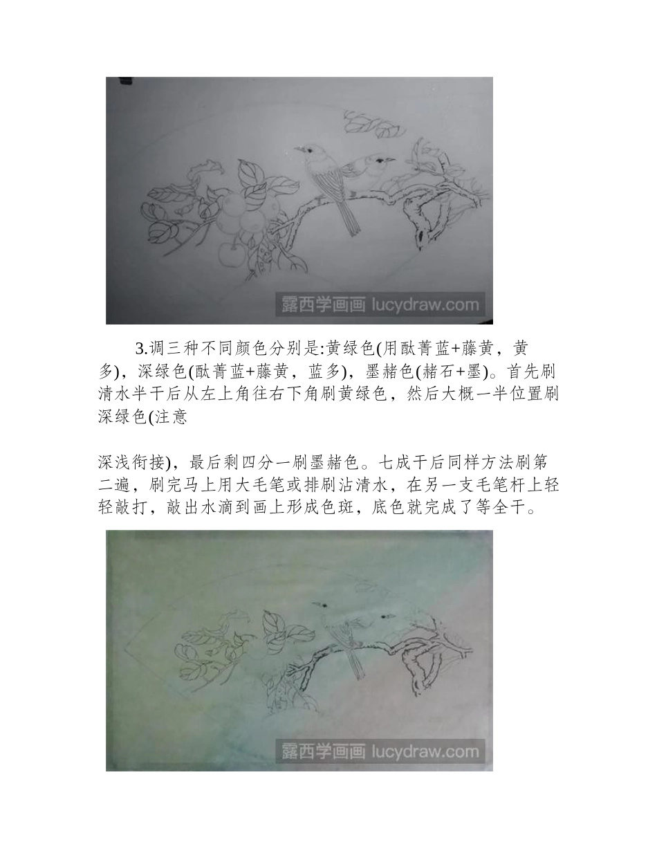 海棠果工笔画教程工笔画教程_第2页