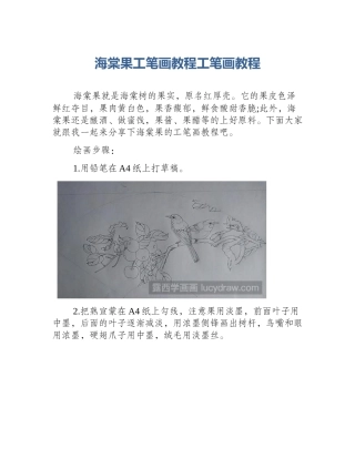 海棠果工笔画教程工笔画教程