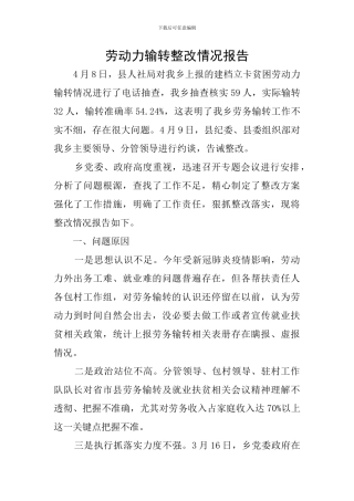 劳动力输转整改情况报告