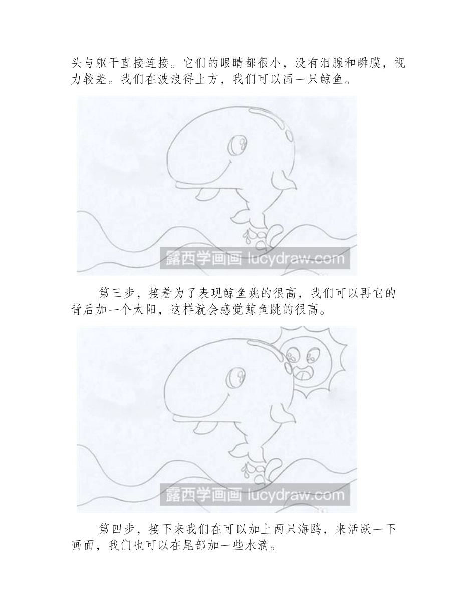 欢快的鲸鱼绘画教程简笔画教程_第2页