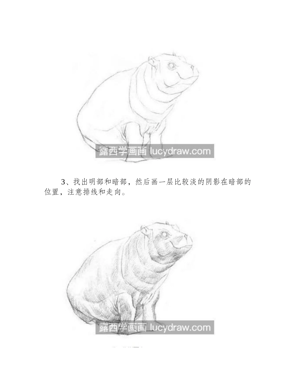 河马怎么画_河马素描步骤有几步_素描教程_第2页