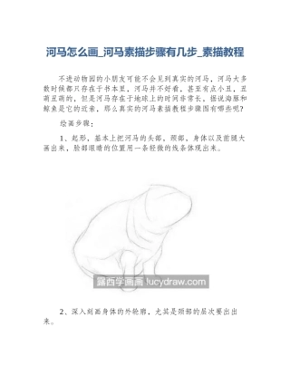 河马怎么画_河马素描步骤有几步_素描教程