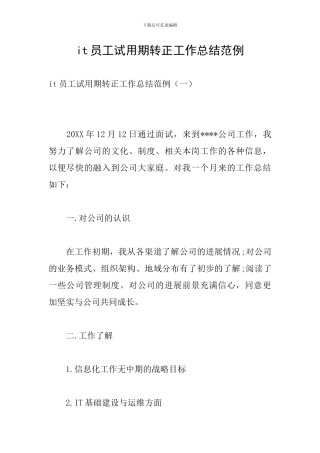 it员工试用期转正工作总结范例