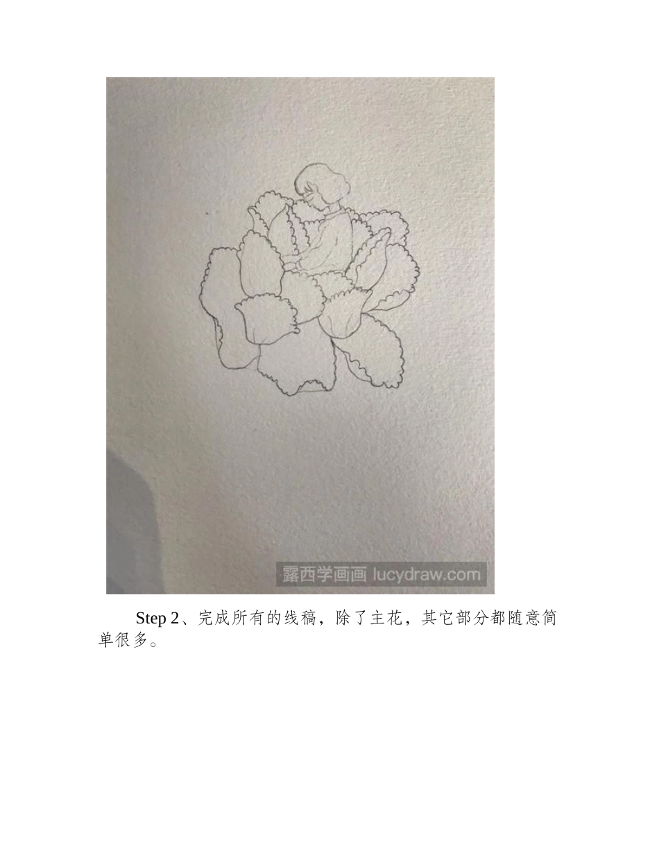 花姑娘插画教程插画教程_第2页
