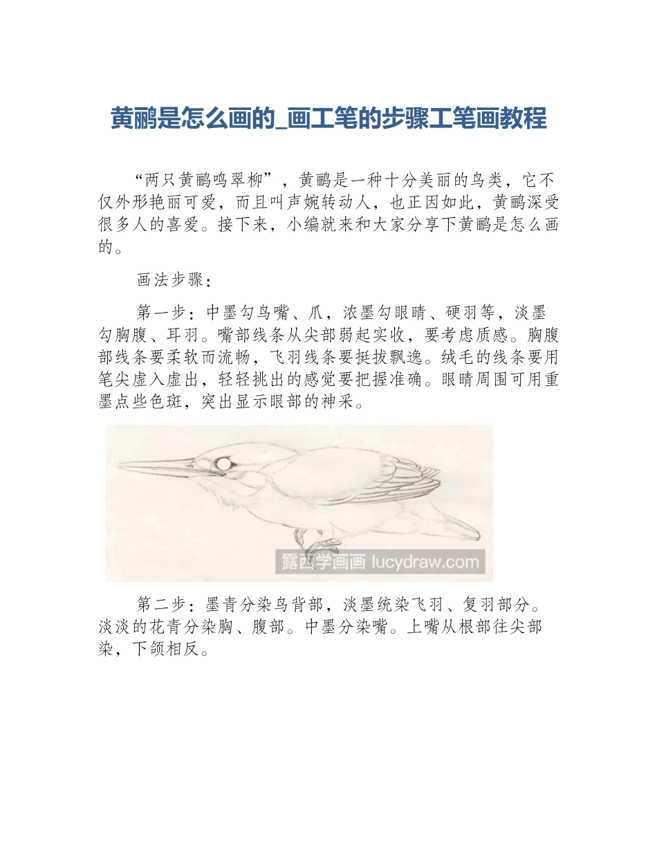黄鹂是怎么画的_画工笔的步骤工笔画教程_第1页
