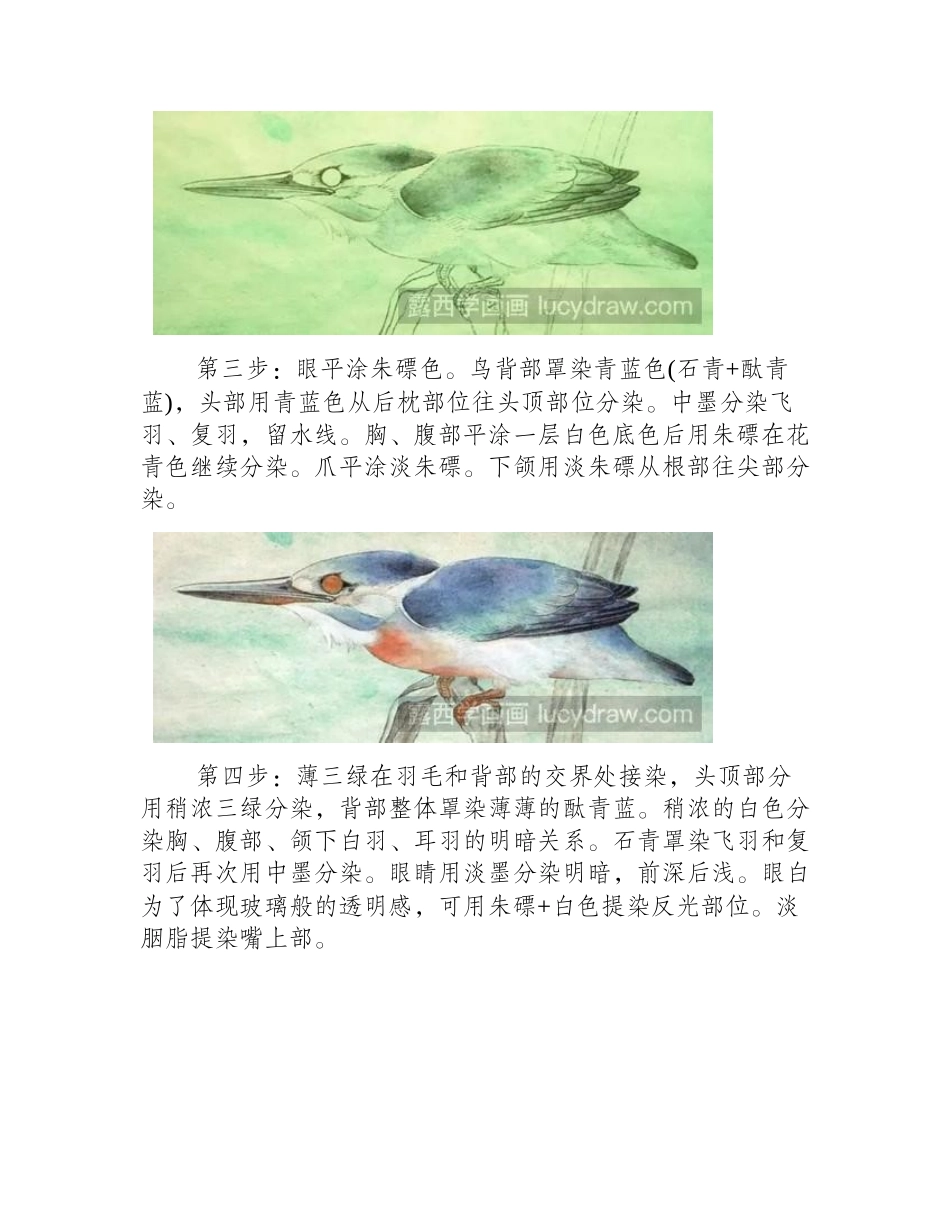 黄鹂是怎么画的_画工笔的步骤工笔画教程_第2页