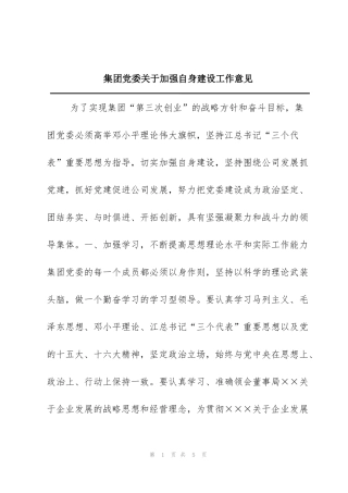集团党委关于加强自身建设工作意见