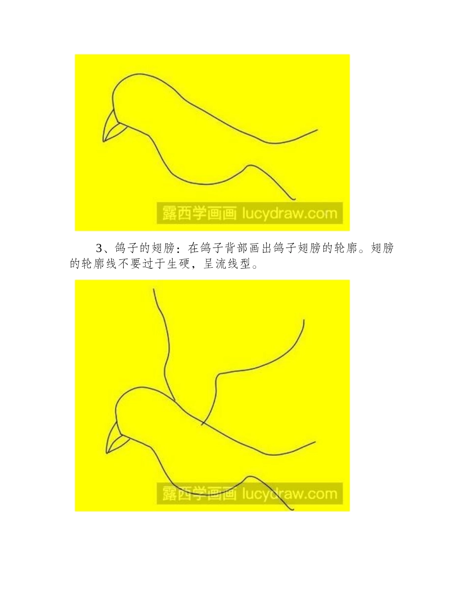 教你画鸽子简笔画简笔画教程_第2页