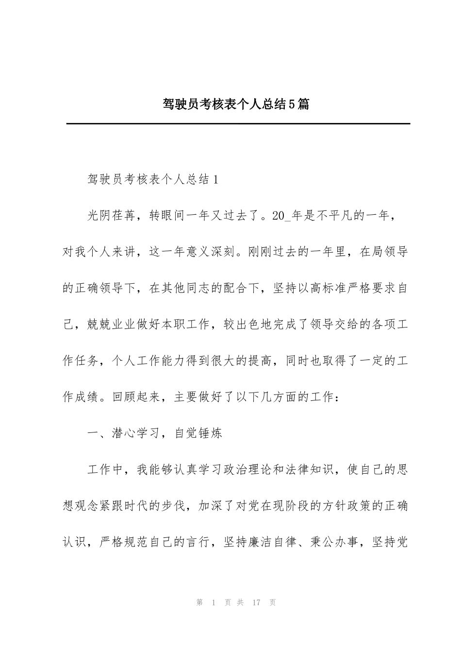 驾驶员考核表个人总结5篇_第1页