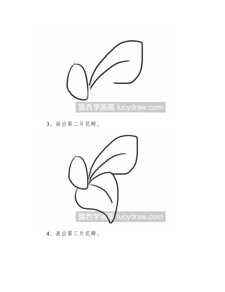简笔画教程：怎么画桔梗花简笔画教程1_第2页