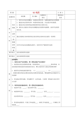 湖南省茶陵县世纪星实验学校八年级物理下册《6.1 电压》教案 新人教版