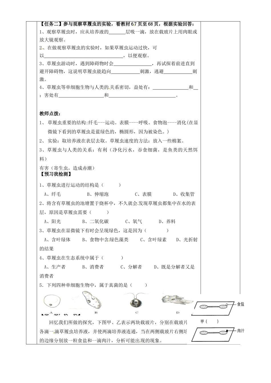 湖南省茶陵县2012年秋七年级生物上册《第二章第四节单细胞生物》教案 新人教版_第2页