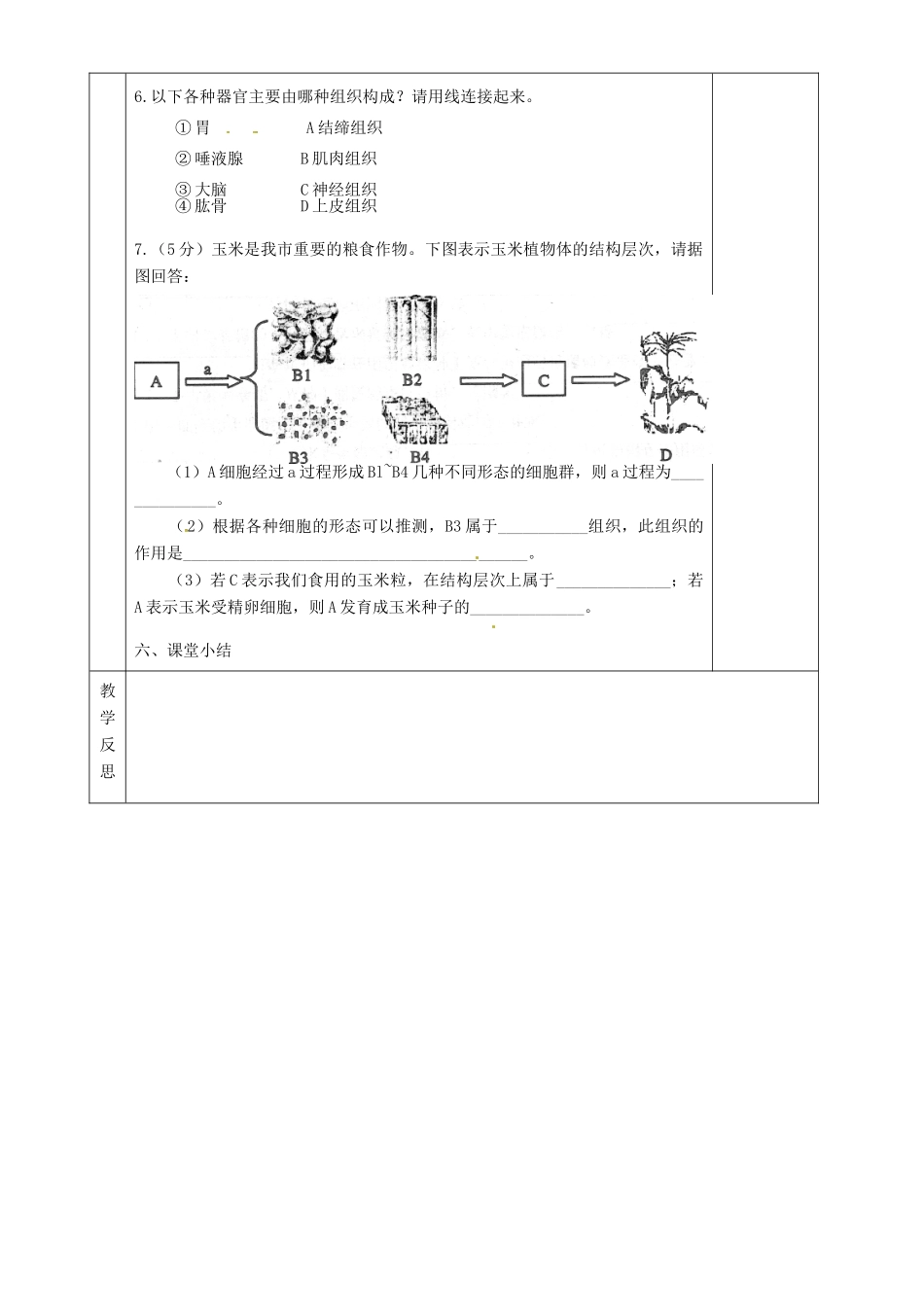 湖南省茶陵县2012年秋七年级生物上册《第二章第二、三节动植物体的结构层次》教案 新人教版_第3页