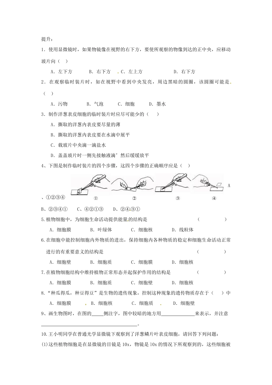 湖南省益阳市七年级生物上册 观察植物细胞的结构教案 新人教版_第3页