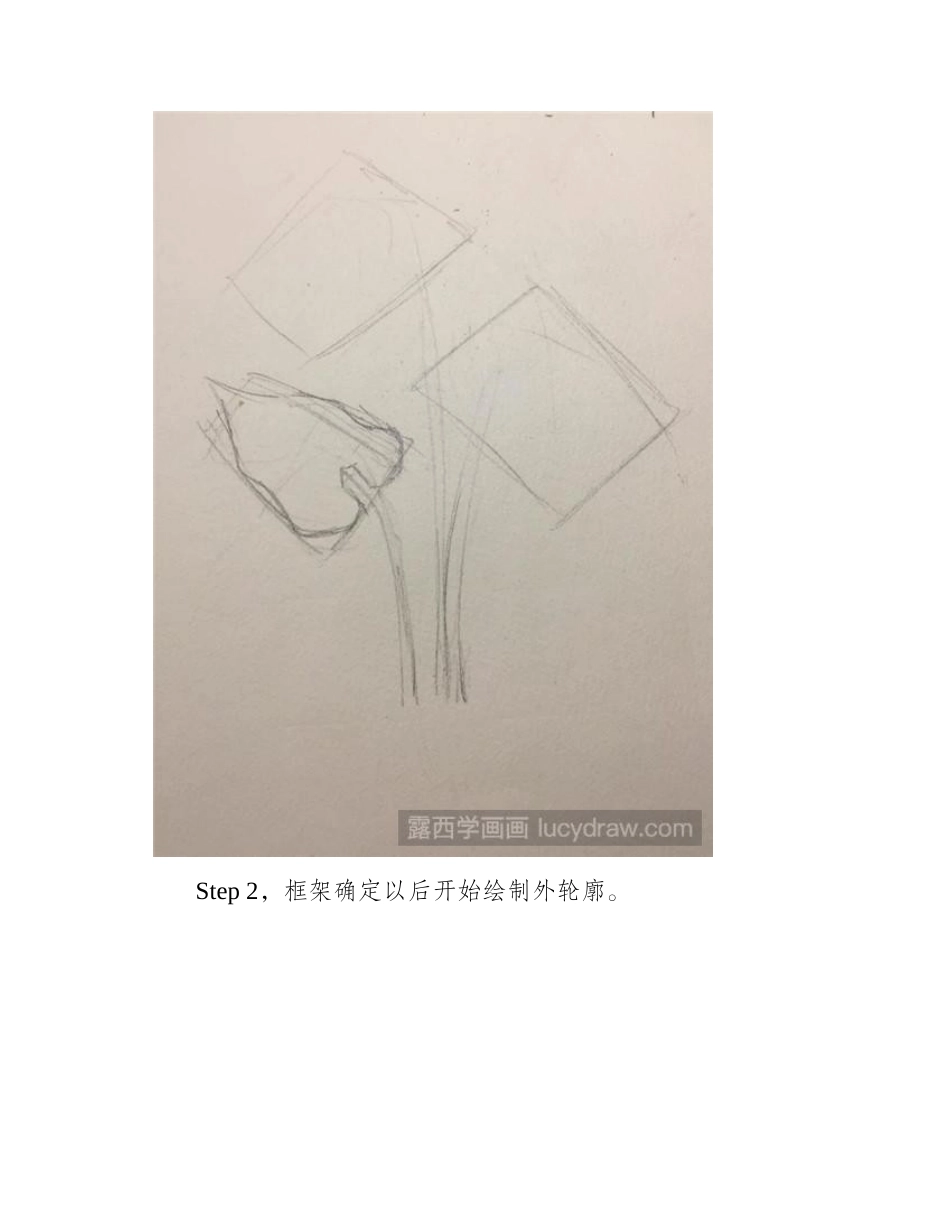 红掌彩铅画教程彩铅画教程_第2页