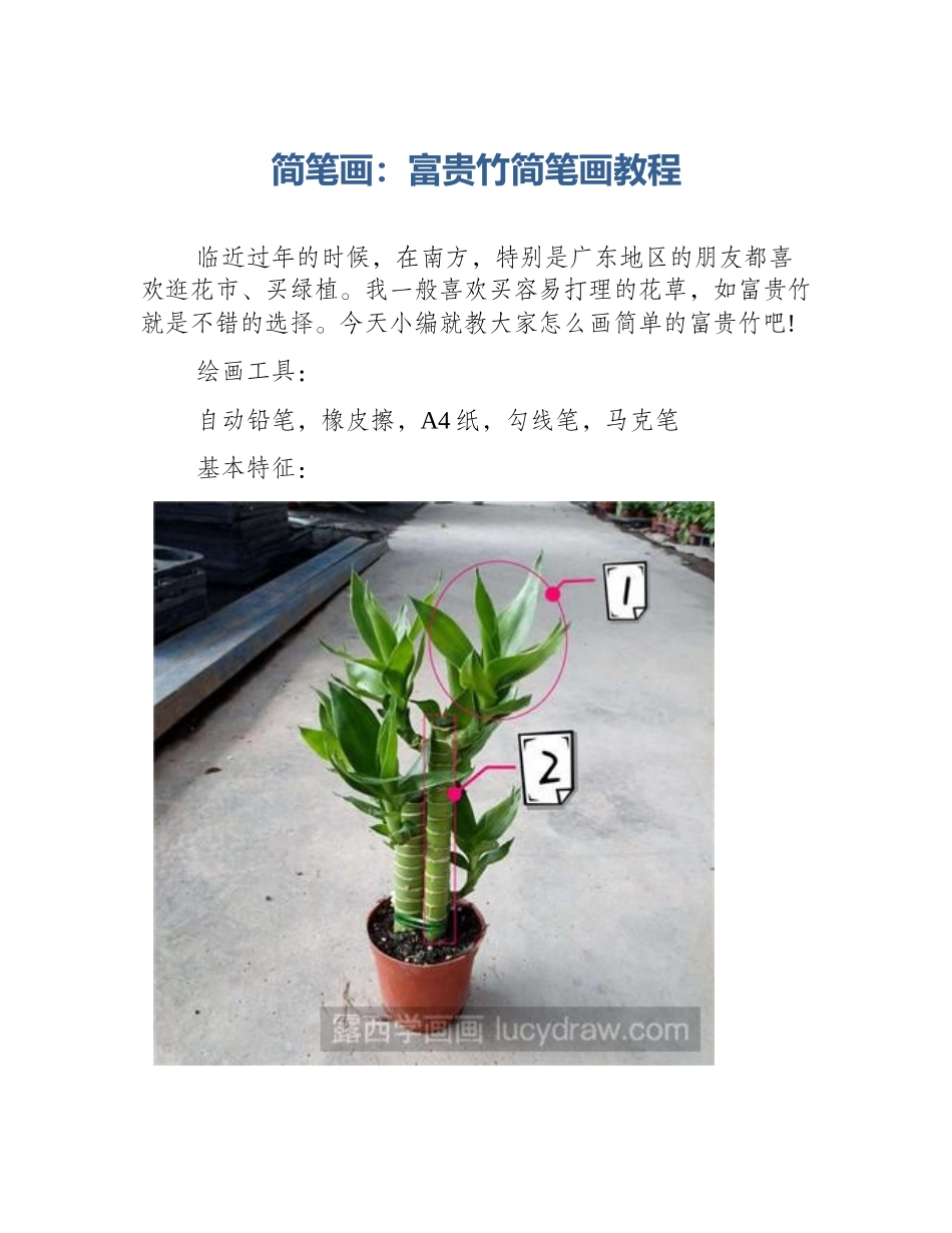 简笔画：富贵竹简笔画教程_第1页