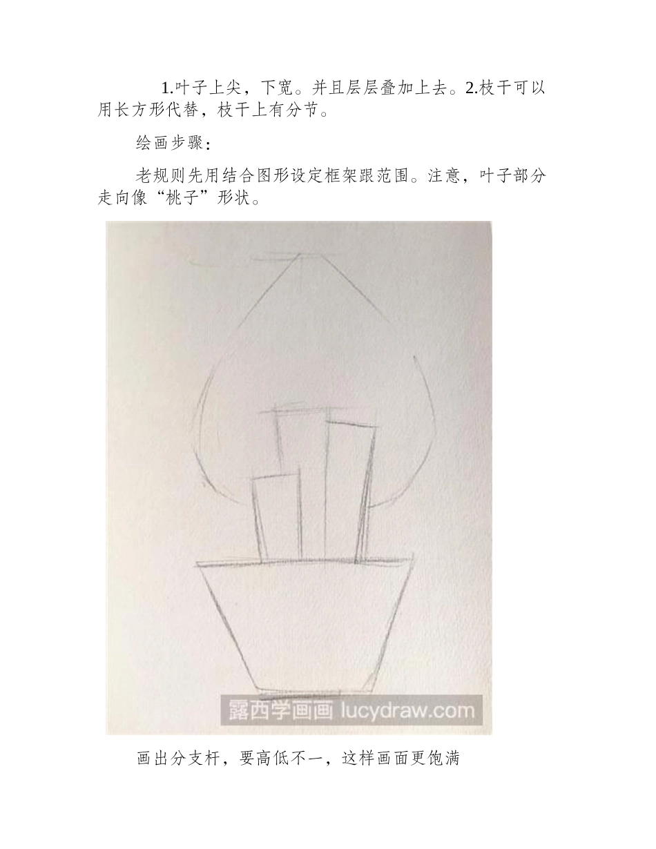 简笔画：富贵竹简笔画教程_第2页