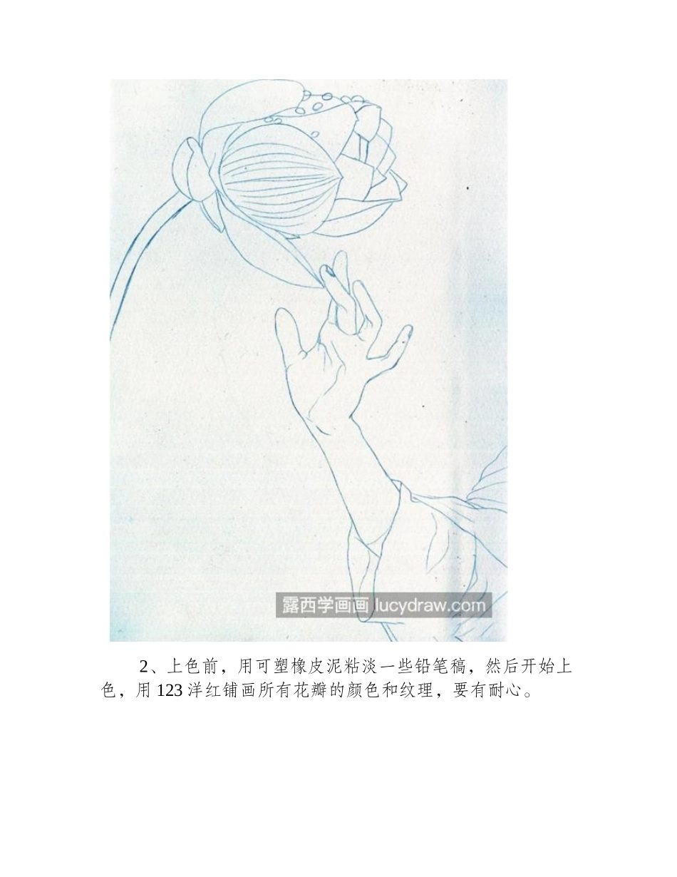 荷花玉手怎么画_详细的彩铅绘画流程是什么_彩铅画教程_第2页