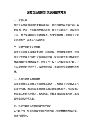 国有企业巡察反馈意见整改方案 
