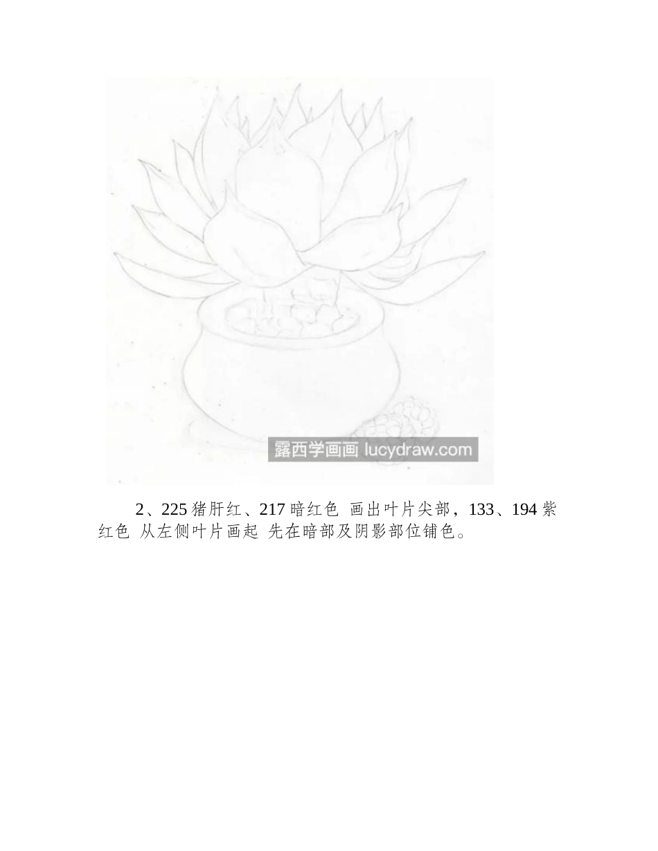吉娃娃老桩怎么画_绘画所用色号有哪些_彩铅画教程_第2页
