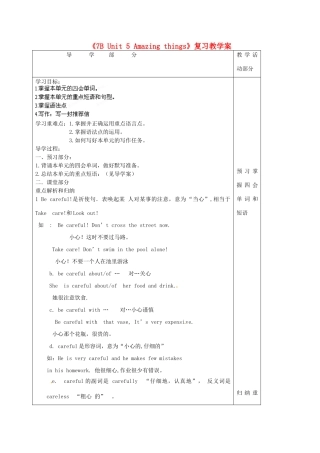 江苏省泰州市白马中学七年级英语下册《7B Unit 5 Amazing things》复习教学案 （新版）牛津版