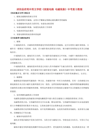 江苏省沭阳县府苑中英文学校中考物理《家庭电路 电磁现象》复习教案