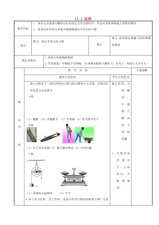 江苏省新沂市第二中学九年级物理上册  11.1 杠杆教案4 苏科版