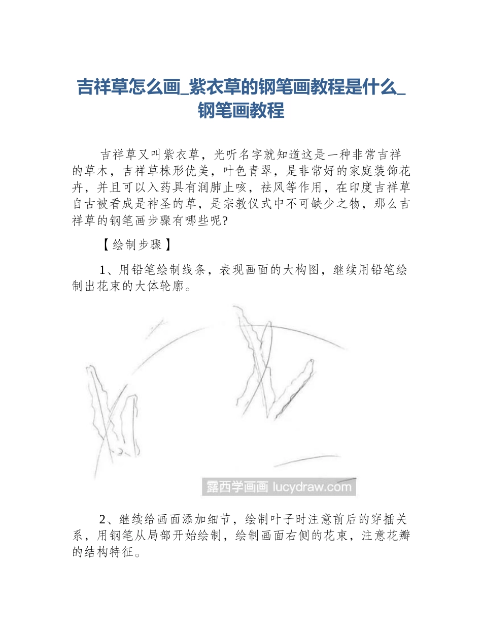 吉祥草怎么画_紫衣草的钢笔画教程是什么_钢笔画教程_第1页