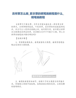吉祥草怎么画_紫衣草的钢笔画教程是什么_钢笔画教程
