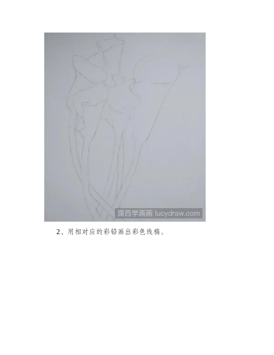 海芋花怎么画_教你画一束黄色的滴水观音彩铅画教程_第2页