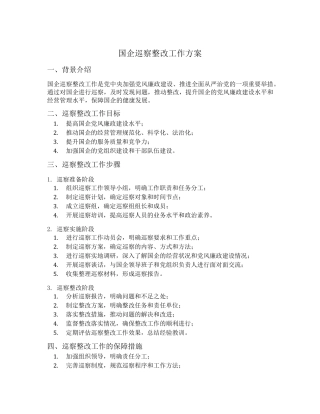 国企巡察整改工作方案 