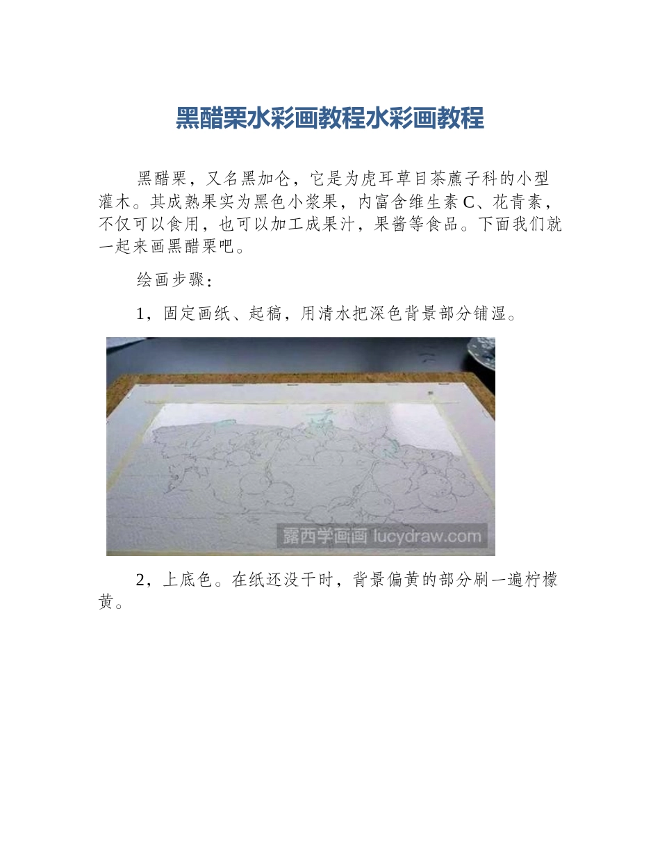 黑醋栗水彩画教程水彩画教程_第1页