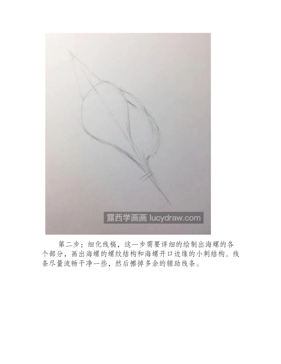 海螺怎么画_有哪些步骤教程_彩铅画教程_第2页