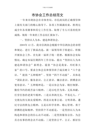 市协会工作总结范文