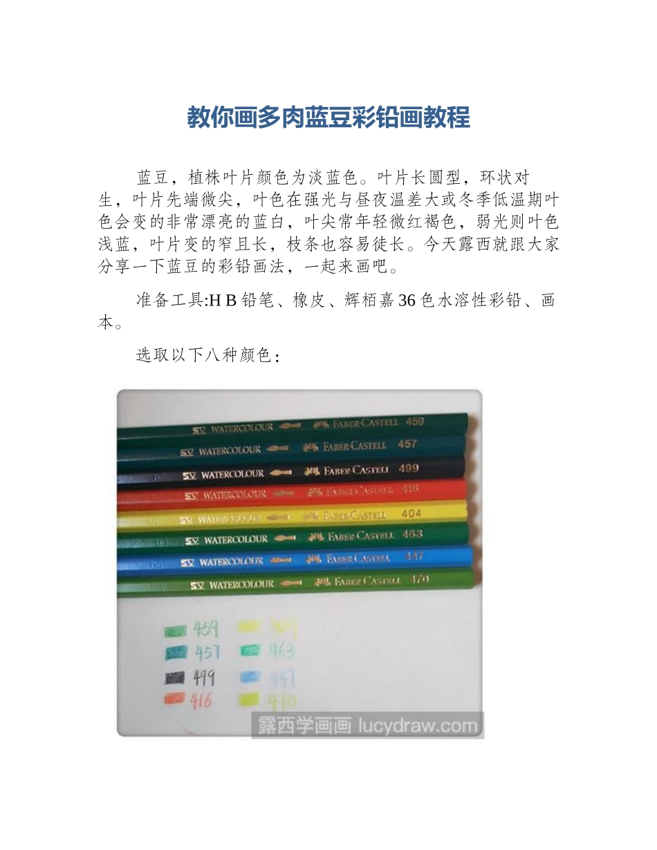教你画多肉蓝豆彩铅画教程_第1页