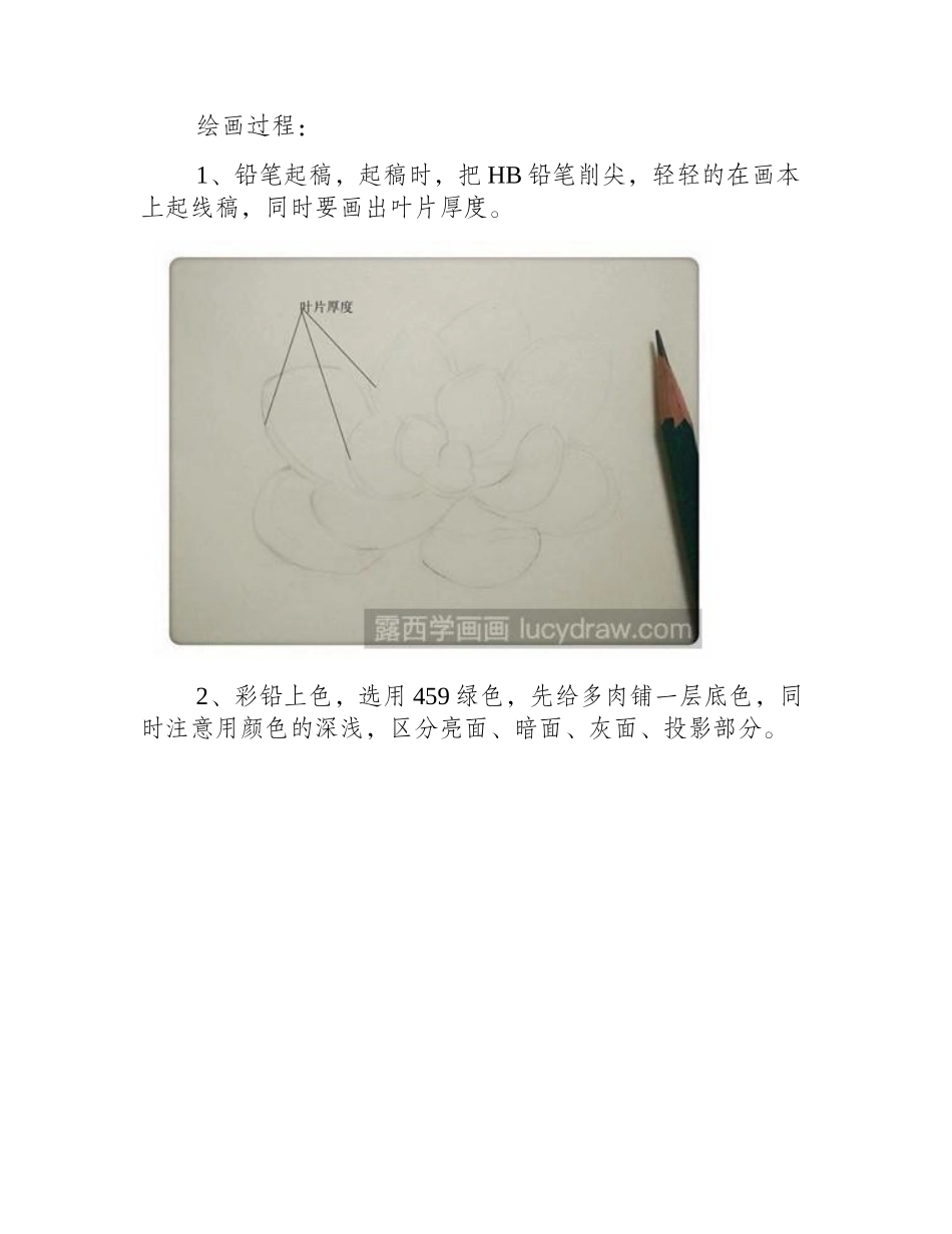 教你画多肉蓝豆彩铅画教程_第2页